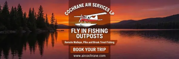 Air Cochrane Banner